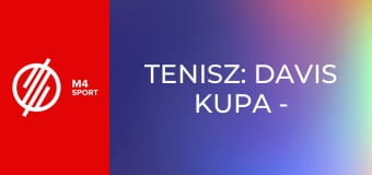 Tenisz: Davis Kupa - Negyeddöntő: Franciaország – Belgium