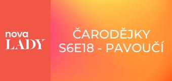 Čarodějky S6E18 - Pavoučí démonka