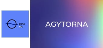 Agytorna
