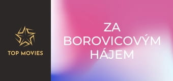 Za borovicovým hájem