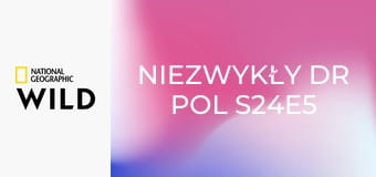 Niezwykły dr Pol S24E5 - Dok(tor)ument