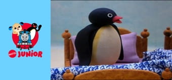 The Pingu Show Sezon 1 Episod 63