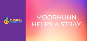 Moorhuhn Helps a Stray Moorhuhn Helps a Stray