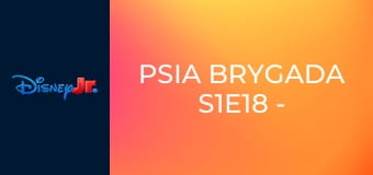 Psia Brygada S1E18 - Wielka pizza / Mali budowniczowie