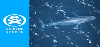 Lumea albastră S5E3