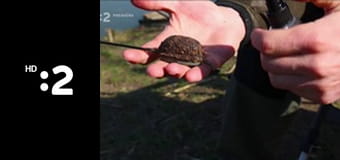 Na zelenej adrese E4