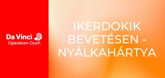 Ikerdokik bevetésen - Nyálkahártya és légzés Ikerdokik bevetésen - Nyálkahártya és légzés