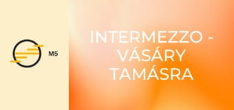 Intermezzo - Vásáry Tamásra emlékezünk