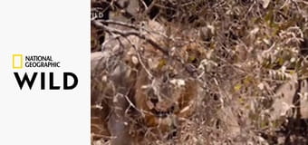 Katavi – zmierajúci africký raj (3)