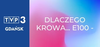 Dlaczego krowa... E100 - Tapiry