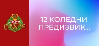 12 Коледни предизвикателства