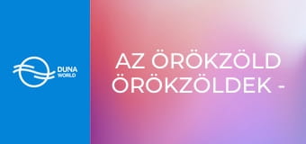 Az örökzöld örökzöldek - Az Apostol, Generál és a Gemini együttes