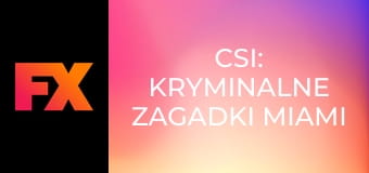 CSI: Kryminalne zagadki Miami S1E17 - Zwykły człowiek