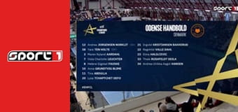 Kézilabda - CSM Bucuresti - Odense