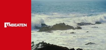 All Blacks | Relentless