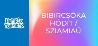 Bibircsóka hódít / Sziamiaú csengettyűje