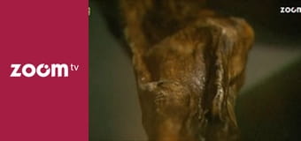 Wojciech Cejrowski - boso przez świat S1E60 - Południowy Tyrol