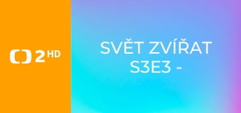 Svět zvířat S3E3 - Papoušci