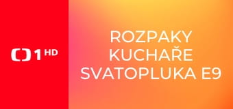 Rozpaky kuchaře Svatopluka E9 - Sporák