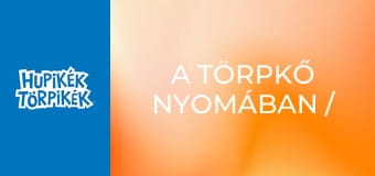 A törpkő nyomában / Törpföldön