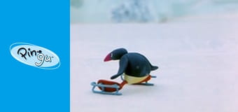 Pingu Sezon 2 Odcinek 5 Pingu Sezon 2 Odcinek 5
