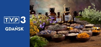 Zielnik regionalny E8