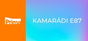 Kamarádi E87