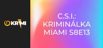 C.S.I.: Kriminálka Miami S8E13 - Rozseknutý mečom