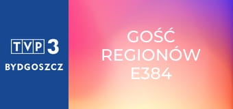 Gość regionów E384