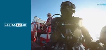 Prawdziwe potwory z oceanów