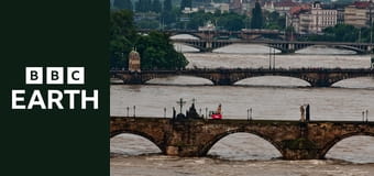 Fatalne prognozy S1E3 - Wir polarny