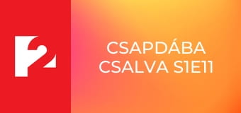 Csapdába csalva S1E11