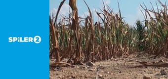 Elképesztő rejtélyek S1E19 - Rejtélyes átkok