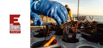 Ostatni kapitanowie S1E2 - Na całość