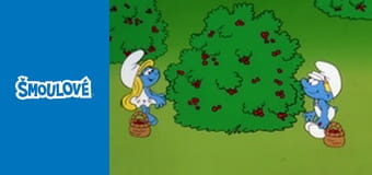 Poslední šmorůvka