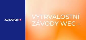 Vytrvalostní závody WEC - 8 hodin v Bahrajnu