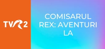Comisarul Rex: aventuri la Viena E95