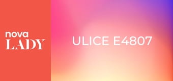 Ulice E4807