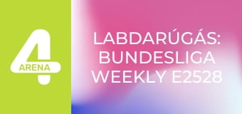 Labdarúgás: Bundesliga Weekly E2528