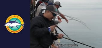 Stardust, part 1 Stardust, part 1