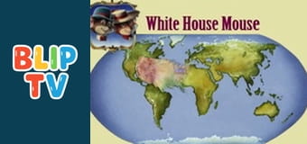 White House Mouse