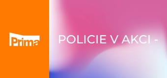 Policie v akci - Zmizení dcery / Skaut ve vilové čtvrti / Špatná psychika / Oko za oko