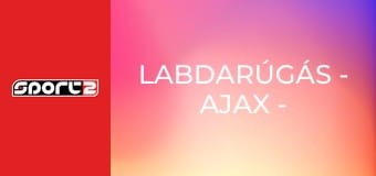 Labdarúgás - Ajax - Galatasaray