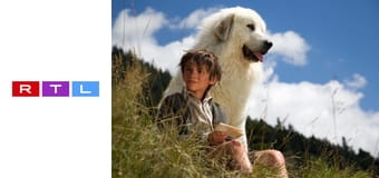 Belle és Sébastien - A kaland folytatódik