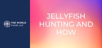 Lov medúz a čínske recepty na ich prípravu. Čína.