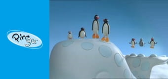 The Pingu Show Sezon 1 Odcinek 17