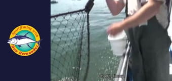 New Huck Finn, part 1