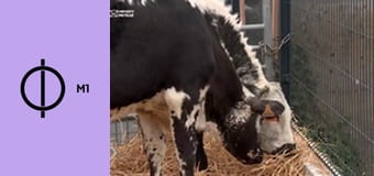 Nemzeti Sporthíradó