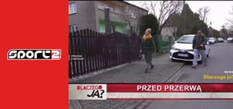 Lóverseny. Kincsem+ Tuti 1047 - premier, élő, HD