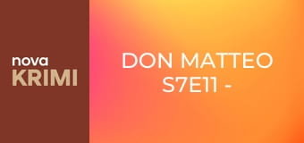 Don Matteo S7E11 - Prsten